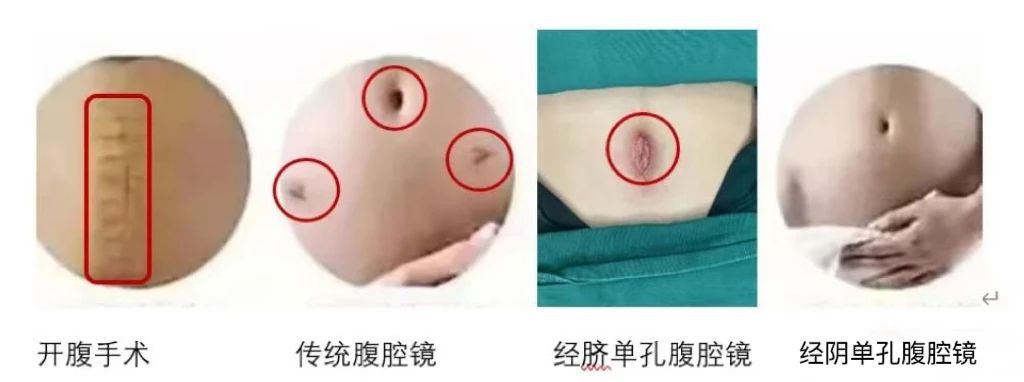 7c38c23436db6862d5a8b77dd8944414.jpg 微信图片_20240401113320.jpg